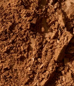 CAIA Cosmetics Bronzer & Contour<MATTE BRONZER