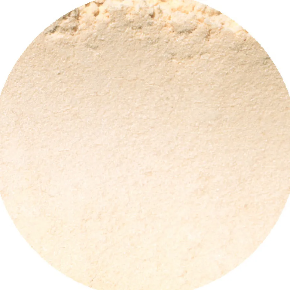 CAIA Cosmetics Setting Powder<MATTE SETTING POWDER