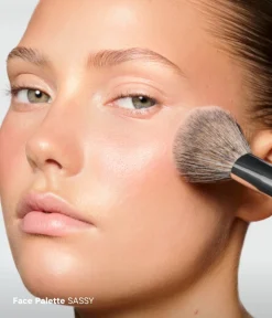 CAIA Cosmetics Smink|Paletter<SASSY + CLASSY