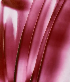 CAIA Cosmetics Blush<SOFT MELT